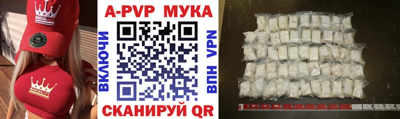 где купить наркотик  Сясьстрой  Alpha-PVP крисы CK 