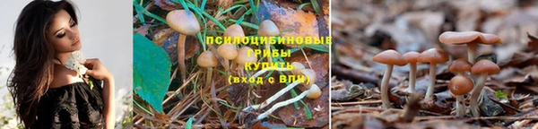кокаин Арсеньев