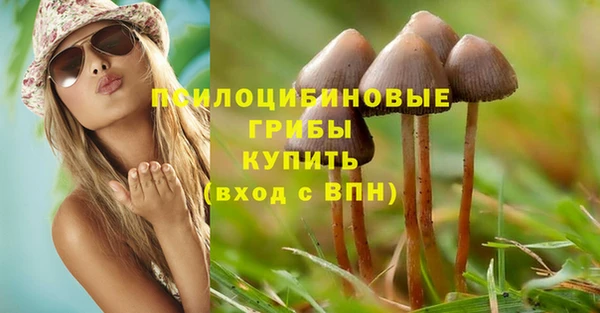 дурь Аркадак