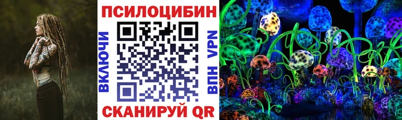 МЕГА ONION  Сясьстрой  Псилоцибиновые грибы Psilocybine cubensis 