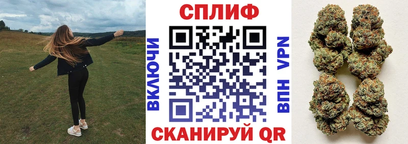 Конопля сатива  ссылка на мегу ТОР  Сясьстрой 